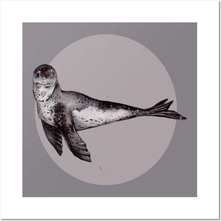 Leopard Seal Posters and Art